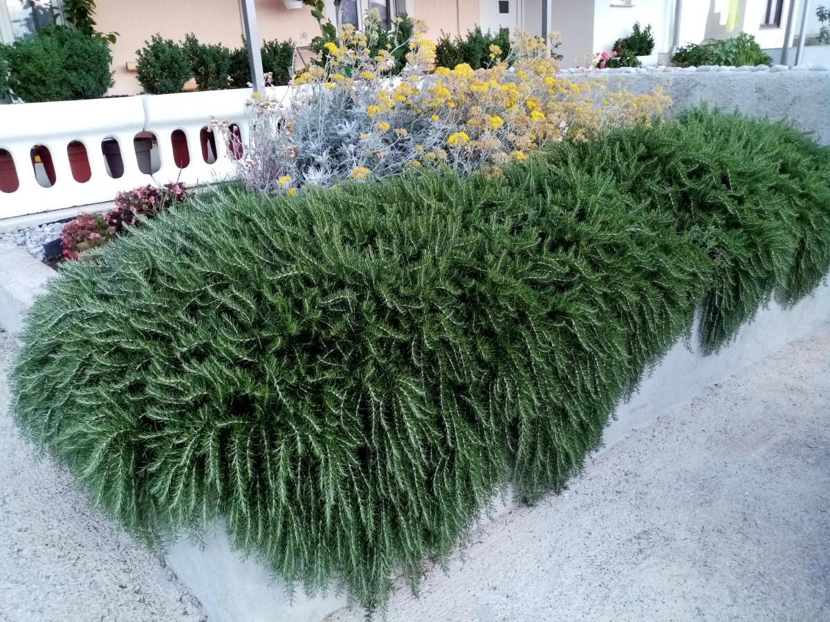 Apartment Lana Senj  Εξωτερικό φωτογραφία